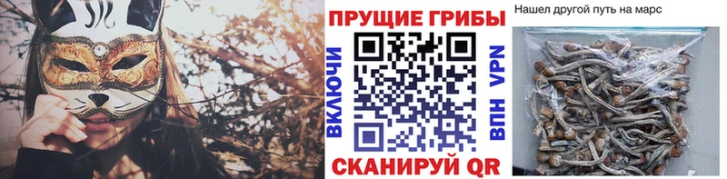 мега рабочий сайт  сайты даркнета как зайти  Галлюциногенные грибы Psilocybine cubensis  Лангепас 