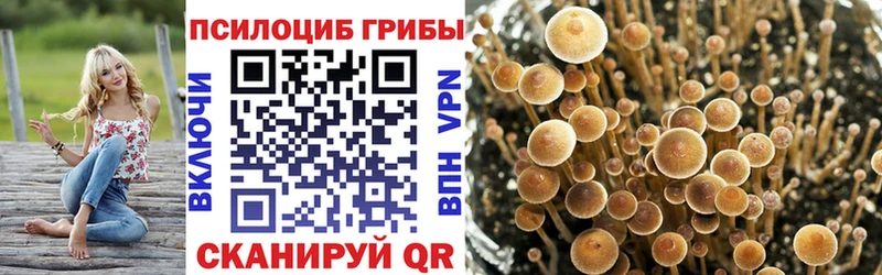 Галлюциногенные грибы Psilocybine cubensis Лангепас
